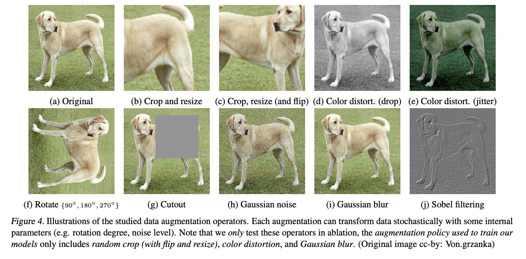 ../_images/15_augmentations.png